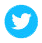 twittericon-web